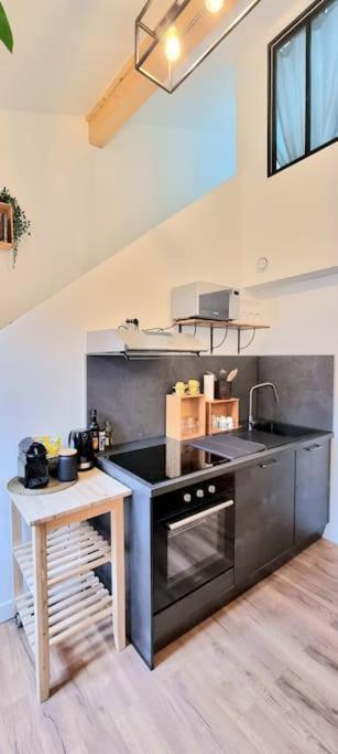Le Duplex Catherine - Metro - Gare - Wifi 圖盧茲 外观 照片