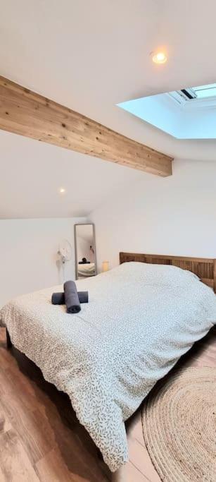 Le Duplex Catherine - Metro - Gare - Wifi 圖盧茲 外观 照片