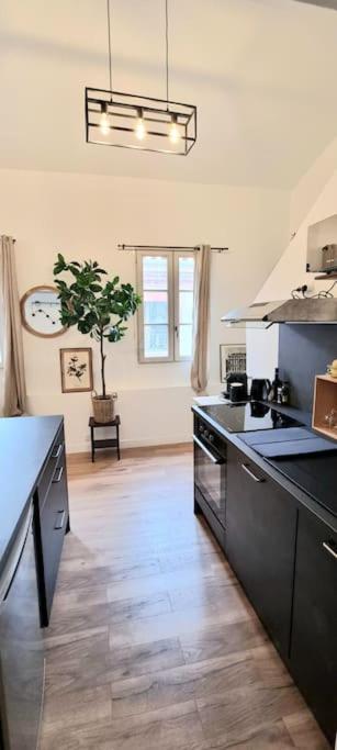 Le Duplex Catherine - Metro - Gare - Wifi 圖盧茲 外观 照片