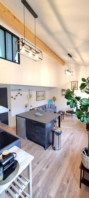 Le Duplex Catherine - Metro - Gare - Wifi 圖盧茲 外观 照片